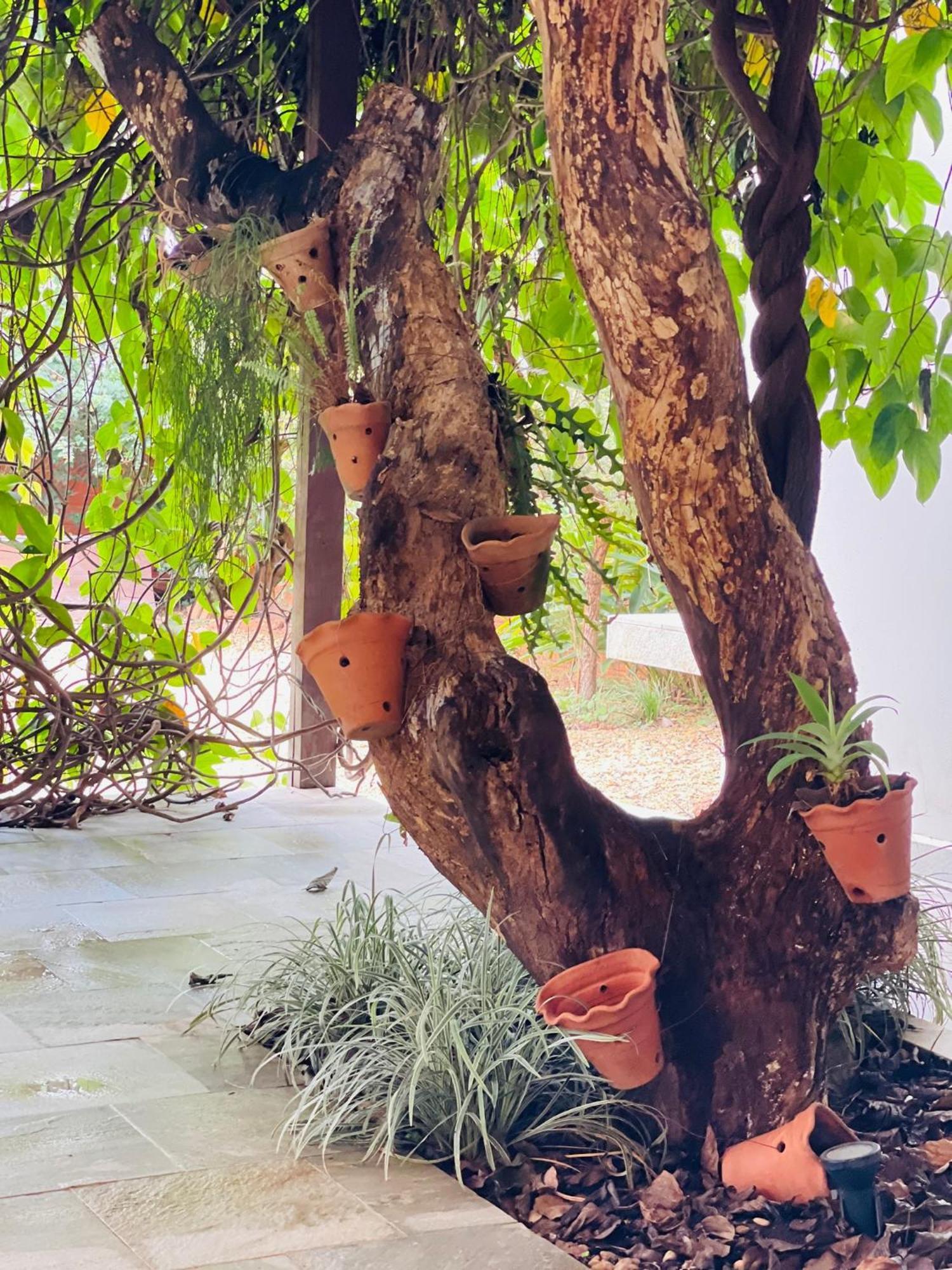Pousada Verdes Encantos Pirenópolis Εξωτερικό φωτογραφία